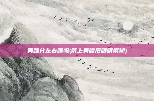 美瞳分左右眼吗(戴上美瞳后眼睛模糊)