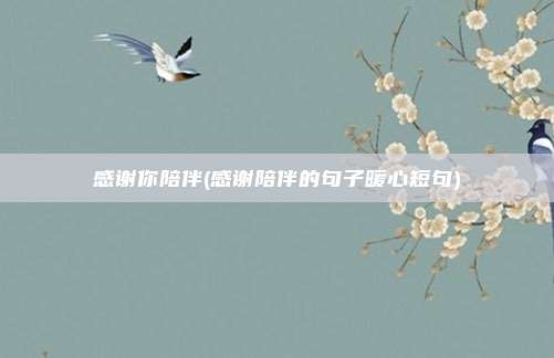 感谢你陪伴(感谢陪伴的句子暖心短句)