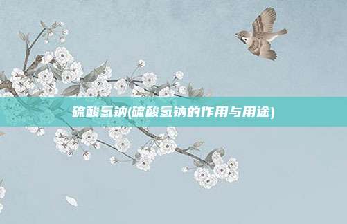 硫酸氢钠(硫酸氢钠的作用与用途)