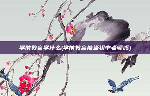 学前教育学什么(学前教育能当初中老师吗)
