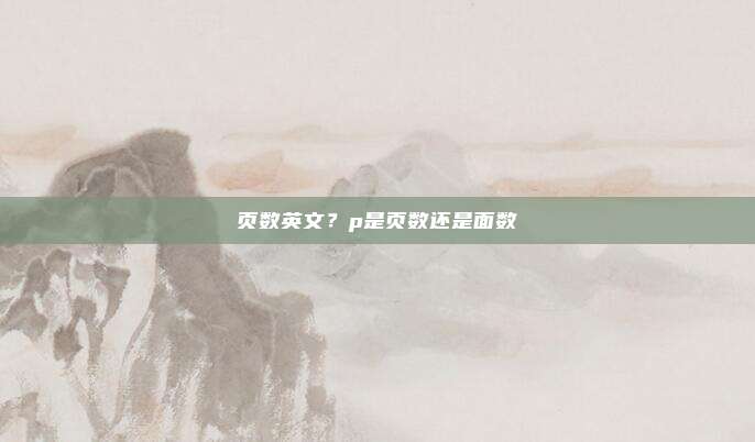 页数英文？p是页数还是面数