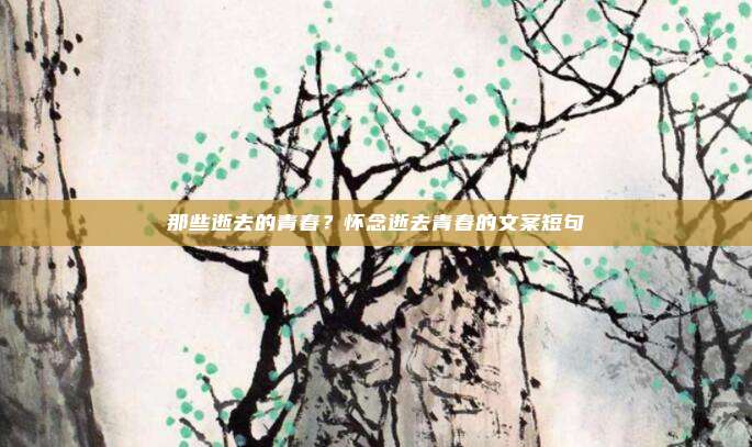 那些逝去的青春?怀念逝去青春的文案短句
