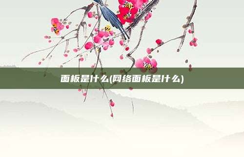 面板是什么(网络面板是什么)