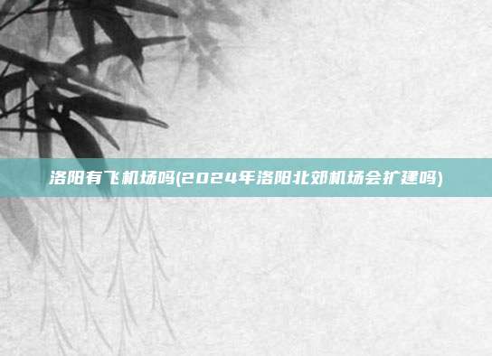 洛阳有飞机场吗(2024年洛阳北郊机场会扩建吗)