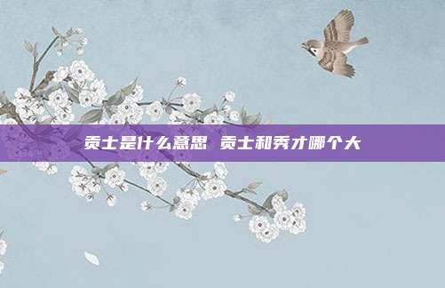 贡士是什么意思 贡士和秀才哪个大