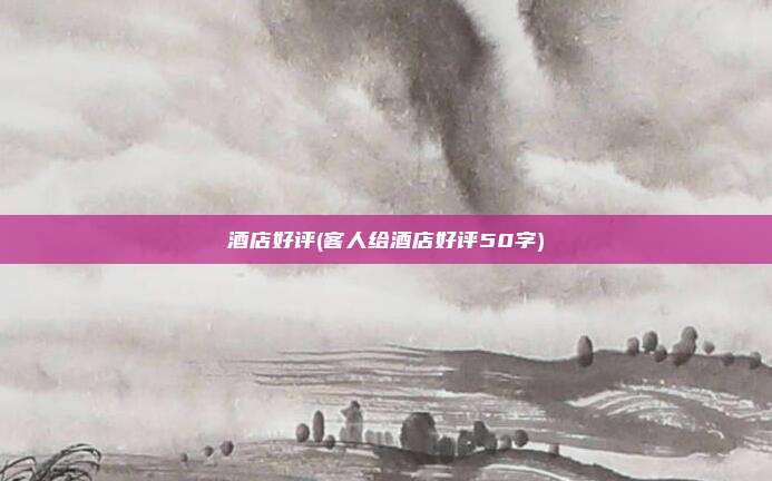 酒店好评(客人给酒店好评50字)