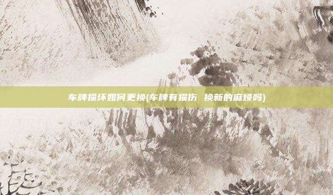 车牌损坏如何更换(车牌有损伤 换新的麻烦吗)