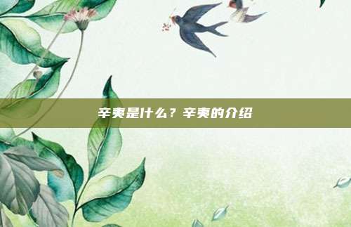 辛夷是什么？辛夷的介绍