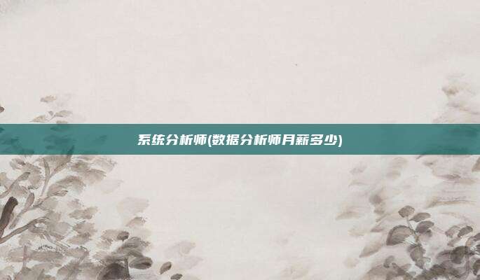 系统分析师(数据分析师月薪多少)