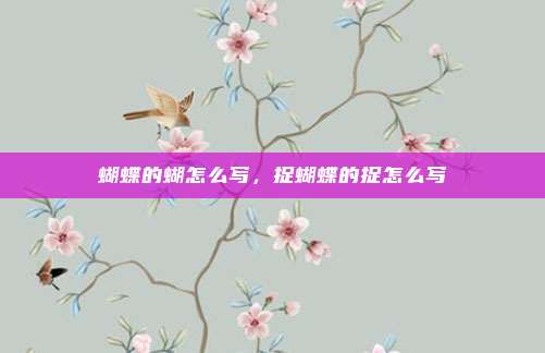 蝴蝶的蝴怎么写,捉蝴蝶的捉怎么写
