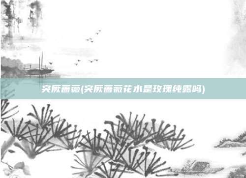 突厥蔷薇(突厥蔷薇花水是玫瑰纯露吗)