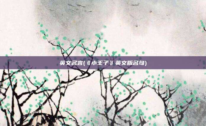 英文名言(《小王子》英文版名句)