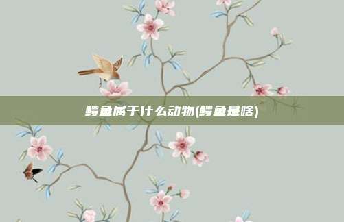 鳄鱼属于什么动物(鳄鱼是啥)