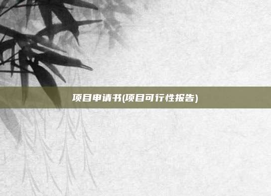 项目申请书(项目可行性报告)