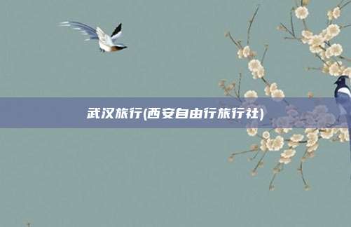 武汉旅行(西安自由行旅行社)