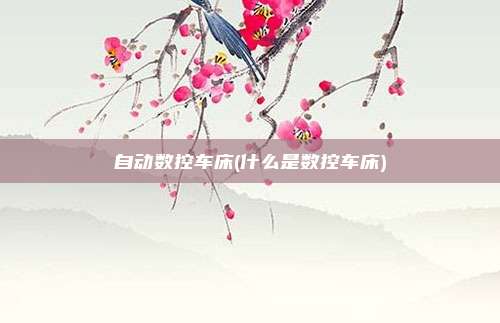 自动数控车床(什么是数控车床)