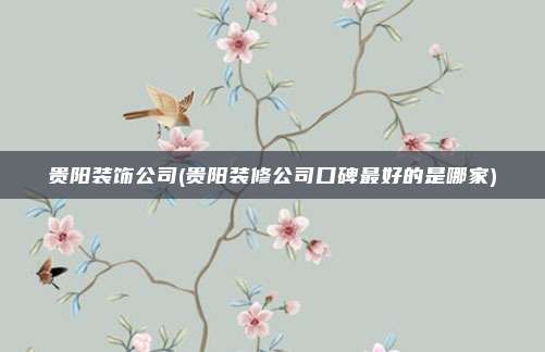 贵阳装饰公司(贵阳装修公司口碑最好的是哪家)