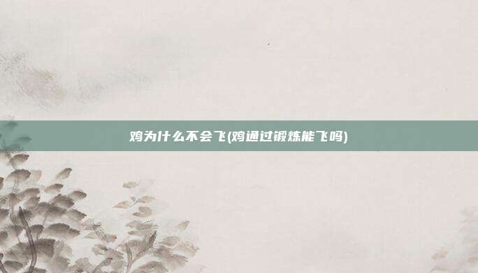 鸡为什么不会飞(鸡通过锻炼能飞吗)