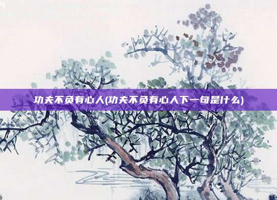 功夫不负有心人(功夫不负有心人下一句是什么)