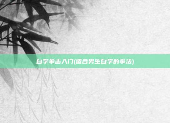自学拳击入门(适合男生自学的拳法)
