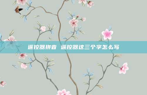 遥控器拼音 遥控器这三个字怎么写