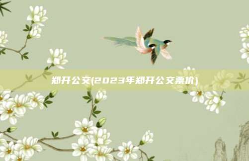 郑开公交(2023年郑开公交票价)