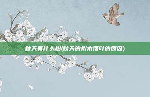 秋天有什么树(秋天的树木落叶的原因)