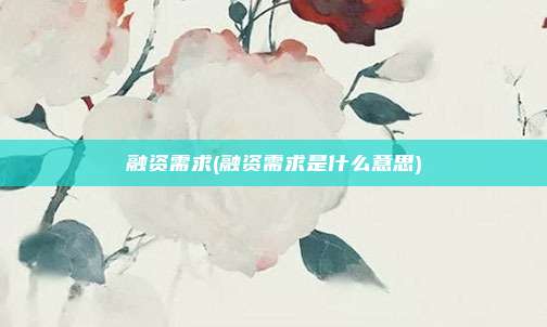 融资需求(融资需求是什么意思)