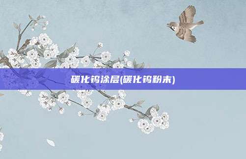 碳化钨涂层(碳化钨粉末)