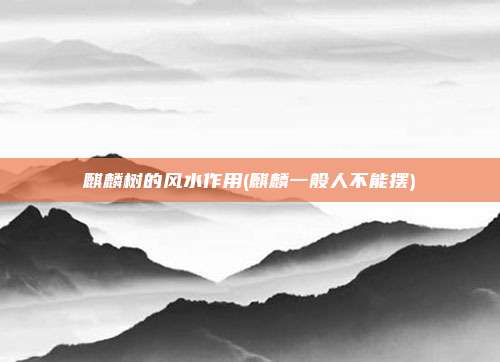 麒麟树的风水作用(麒麟一般人不能摆)