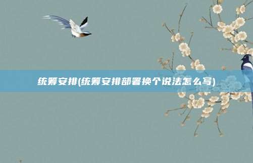 统筹安排(统筹安排部署换个说法怎么写)