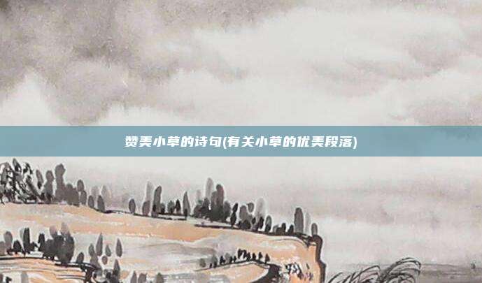 赞美小草的诗句(有关小草的优美段落)