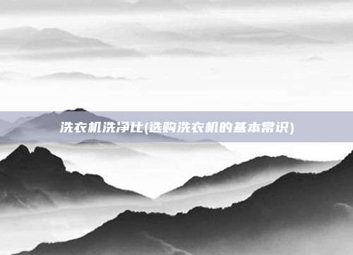 洗衣机洗净比(选购洗衣机的基本常识)