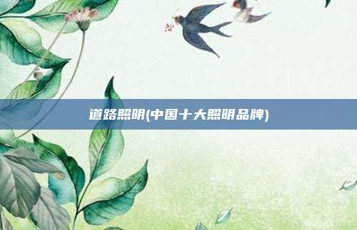 道路照明(中国十大照明品牌)