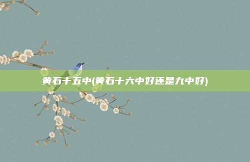 黄石十五中(黄石十六中好还是九中好)