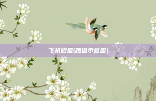 飞机跑道(跑道示意图)