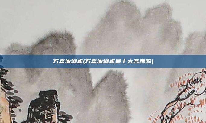 万喜油烟机(万喜油烟机是十大名牌吗)