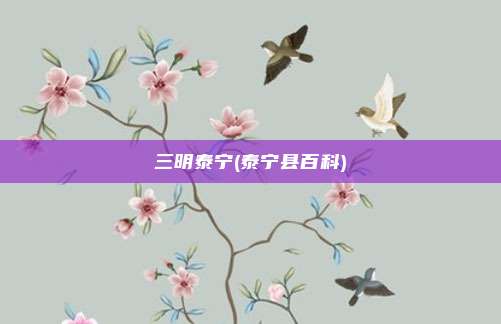 三明泰宁(泰宁县百科)