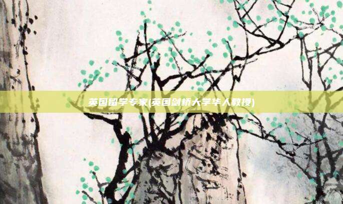 英国留学专家(英国剑桥大学华人教授)