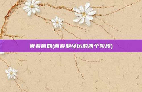 青春前期(青春期经历的四个阶段)