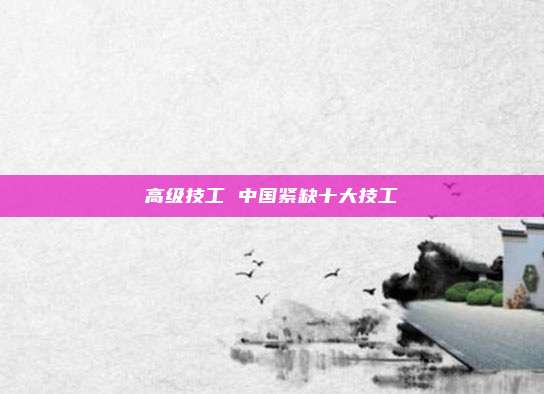 高级技工 中国紧缺十大技工