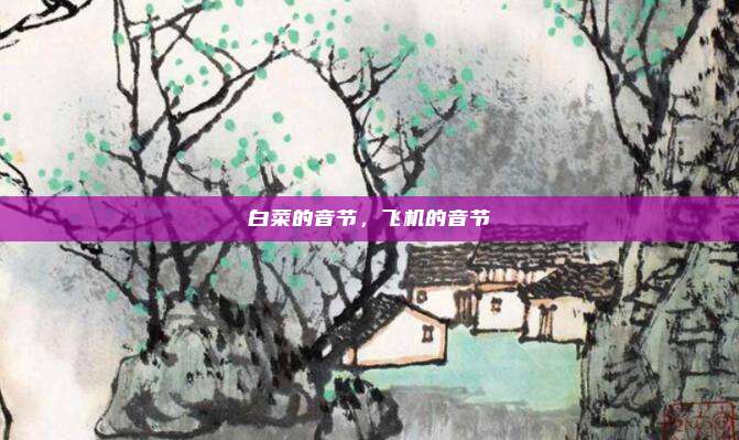 白菜的音节,飞机的音节