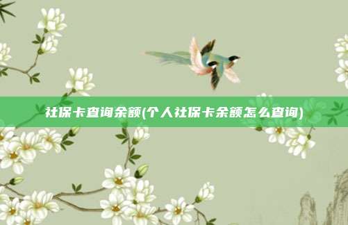 社保卡查询余额(个人社保卡余额怎么查询)