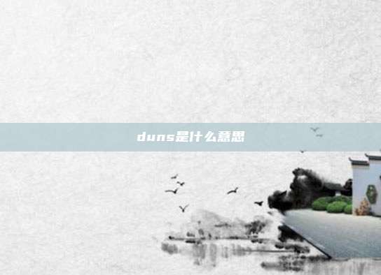 duns是什么意思