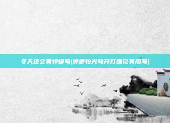 冬天还会有蟑螂吗(蟑螂怕光吗开灯睡觉有用吗)