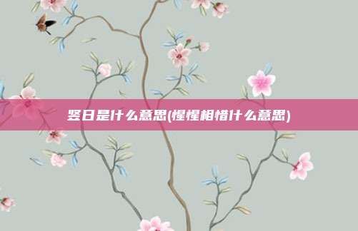 竖日是什么意思(惺惺相惜什么意思)