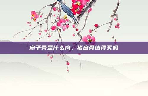 扇子骨是什么肉，猪扇骨值得买吗