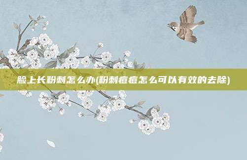 脸上长粉刺怎么办(粉刺痘痘怎么可以有效的去除)