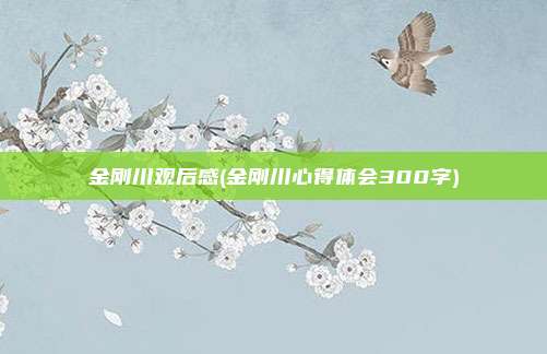 金刚川观后感(金刚川心得体会300字)