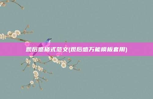 观后感格式范文(观后感万能模板套用)